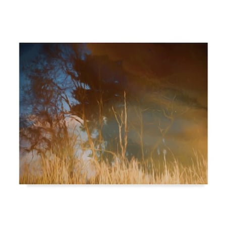 Anthony Paladino 'Erie Swamp Reflections' Canvas Art,24x32
